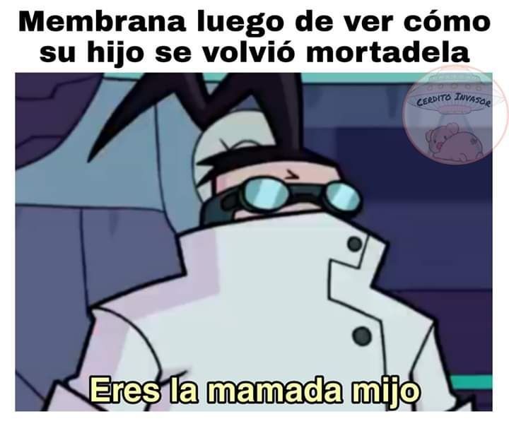 Fans de zim (no rechazen) - meme