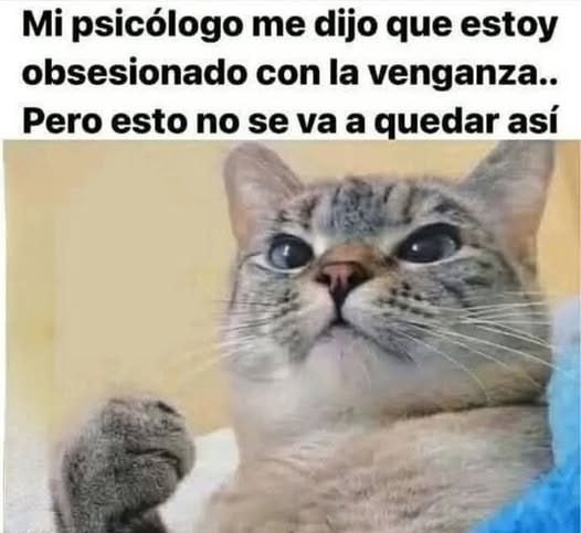 VENGANZA - meme