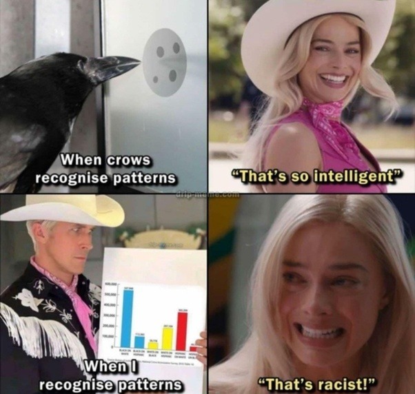 ﻿When crows recognise patterns CThat’s so intelligent? When 0 recognisepatterns “That’$ racistl”