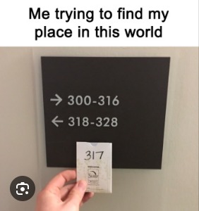 Me trying to find my place in this world - meme