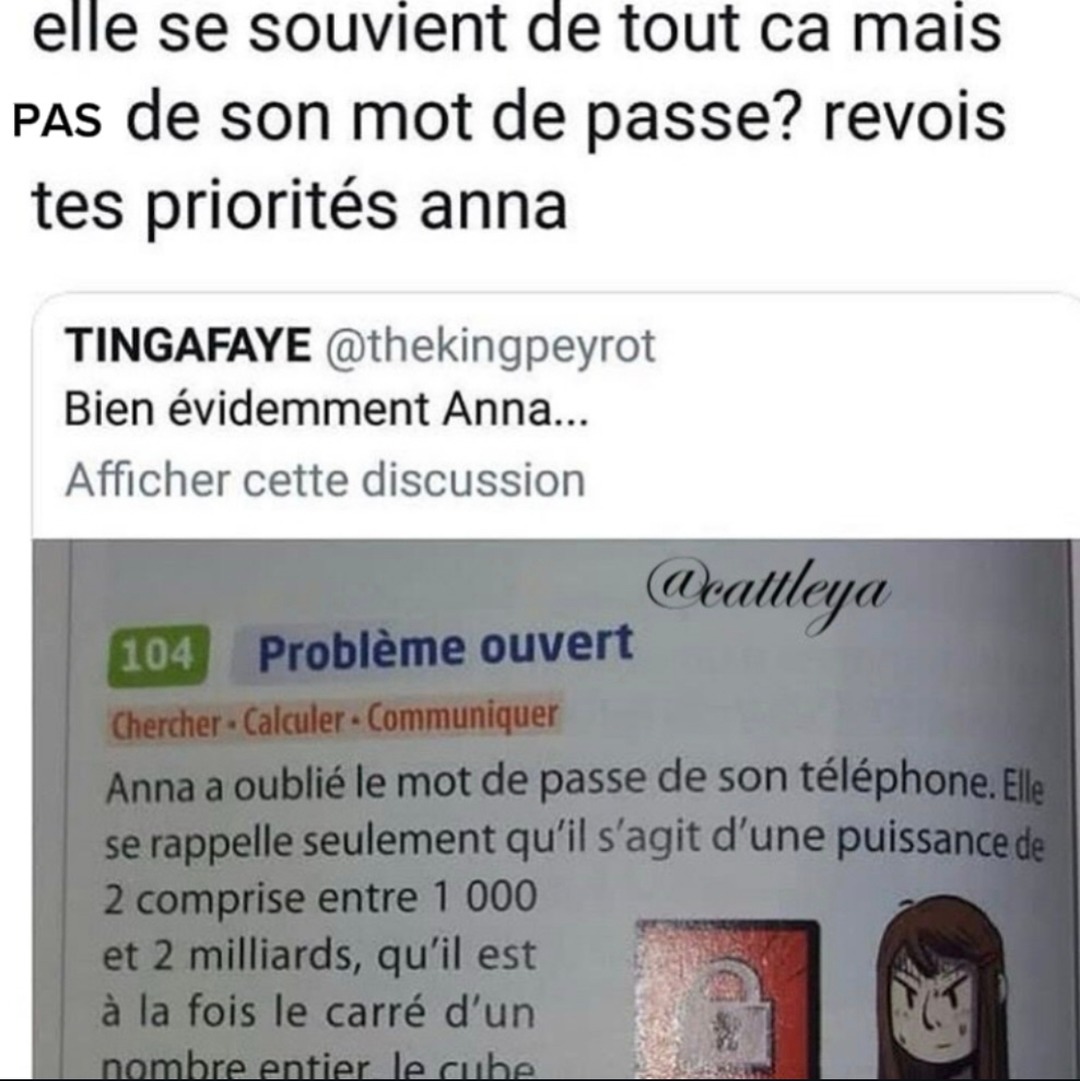 Elle retient les décimales de pi mais pas son mot de passe - meme