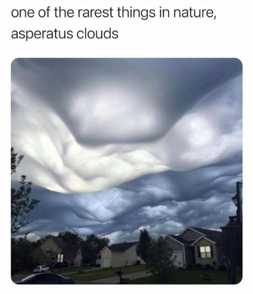 Not asparagus clouds - meme
