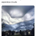 Not asparagus clouds