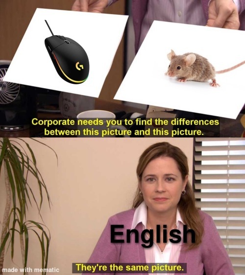 Mouse. - meme