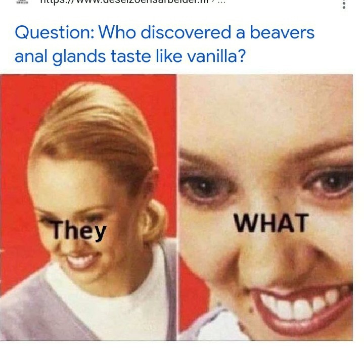 Vanilla beaver butt, tasty - meme