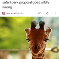 Jeffrey the giraffe doesn't take shit