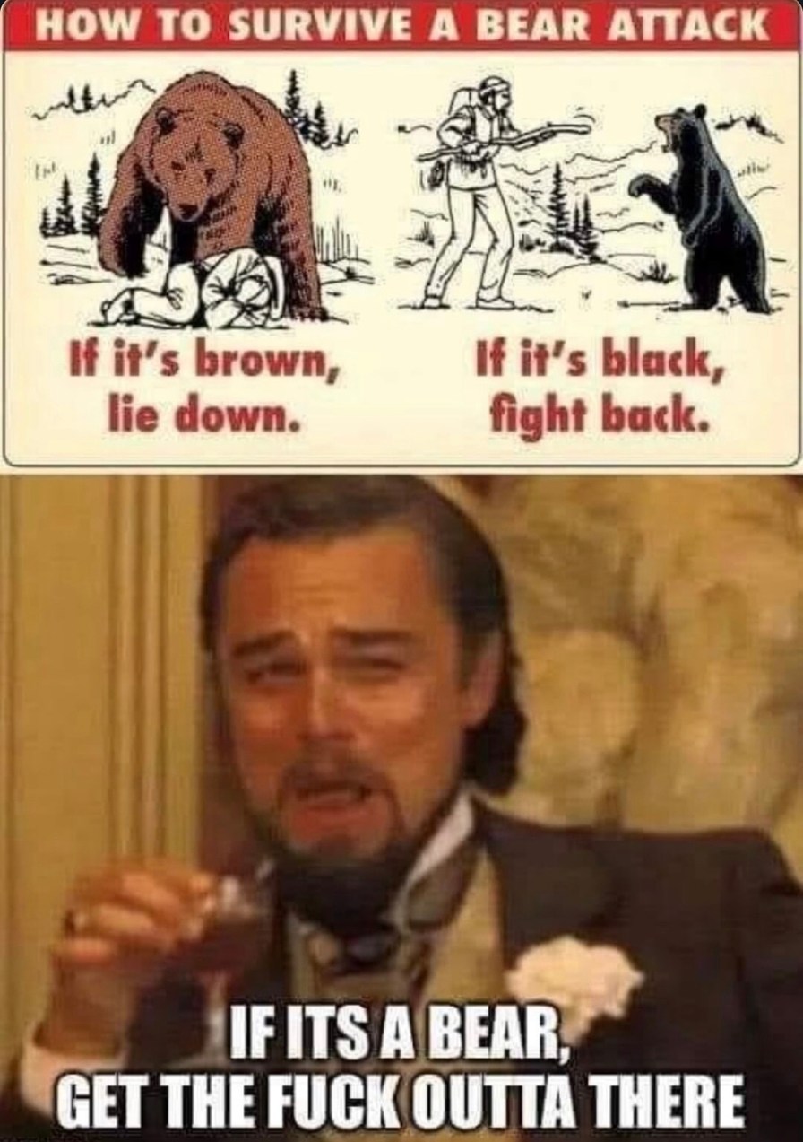 Bear attack guide: brown = chill, black = run like hell - meme