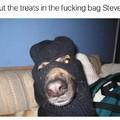 Fuck you Steve