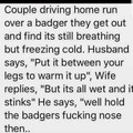 Badgers are vicious