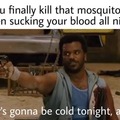 You are done mosquito