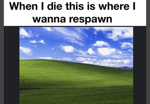 It's a beautiful place to respawn - meme
