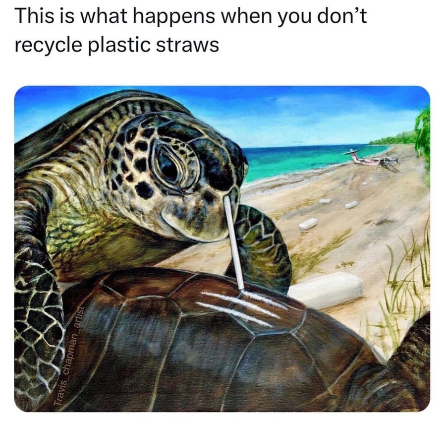 poor turtles - meme