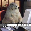 It is Groundhog Day meme