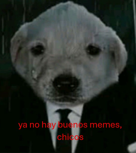 Por qué ya no hay buenos memes aquí carajo...