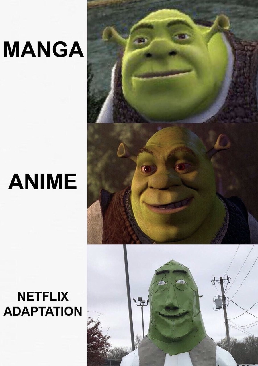 Netflix adaptation - meme