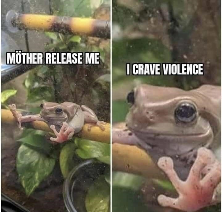 Violence - meme