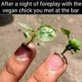 Vegan foreplay
