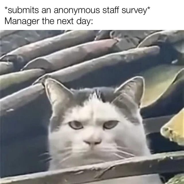 Anonymous staff survey is a trap - meme
