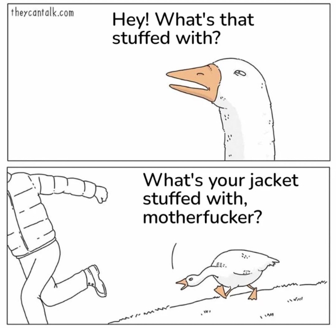 Quack Quack Motherfucker - meme