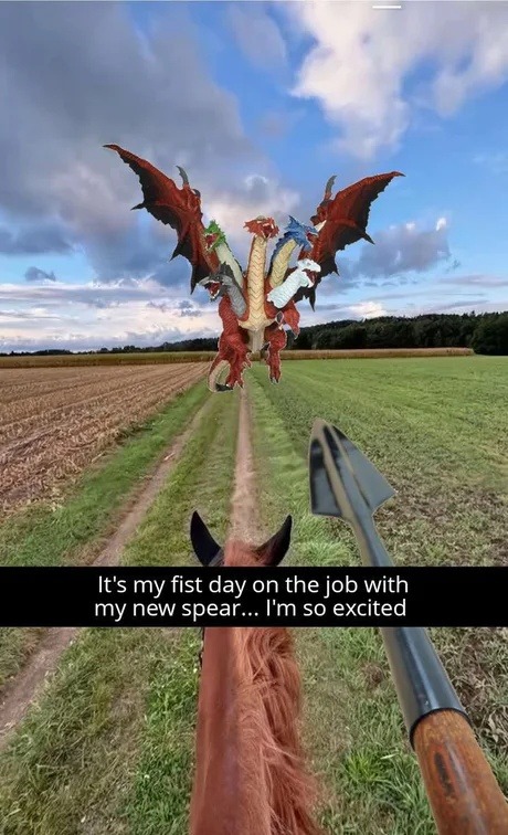 First day on the job and I brought my spear - meme