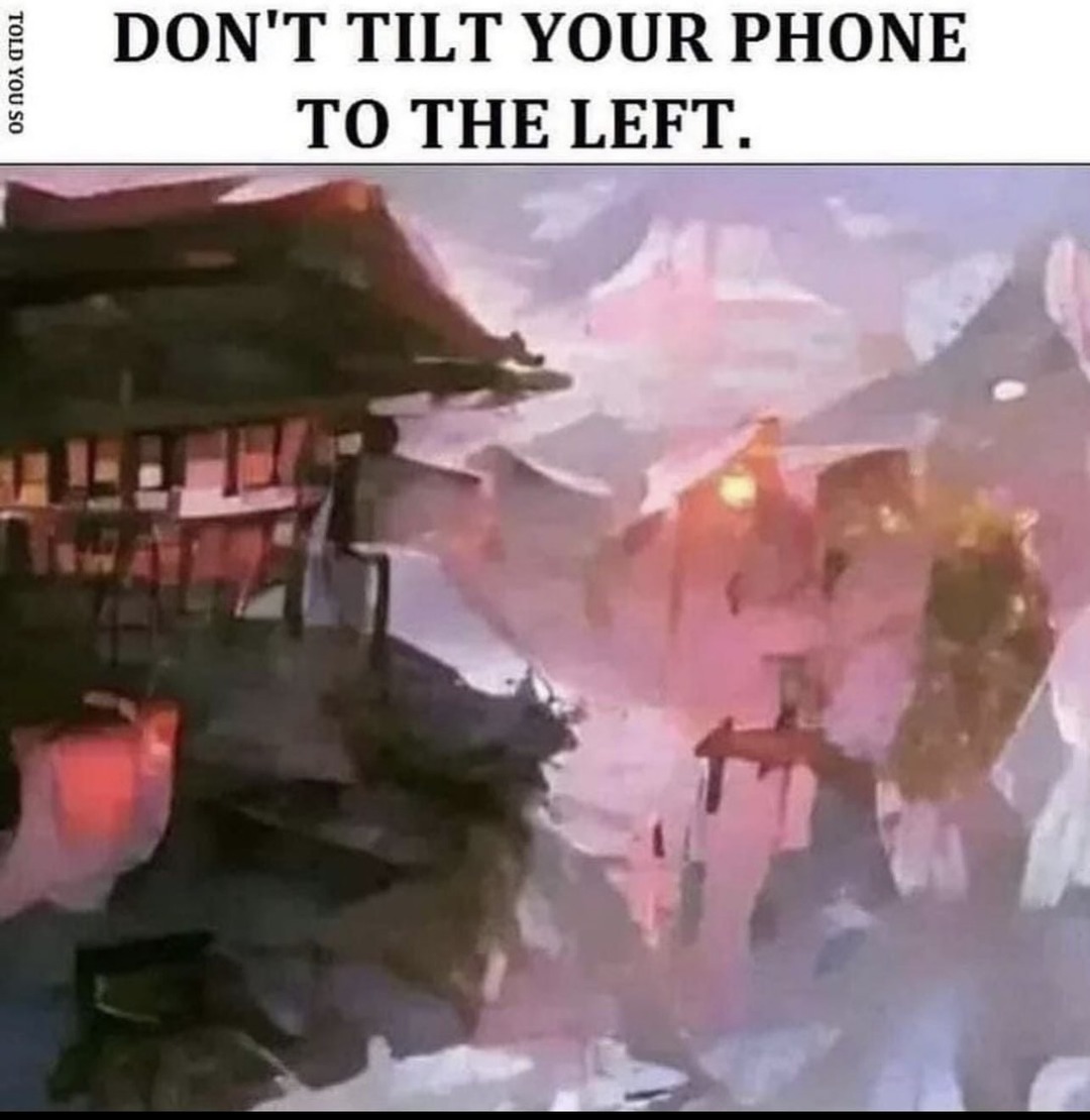 "Ne tournez pas votre téléphone à gauche" - meme