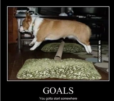 dog goals - meme