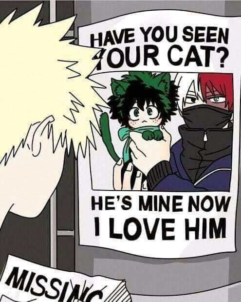 My Hero Academia - meme