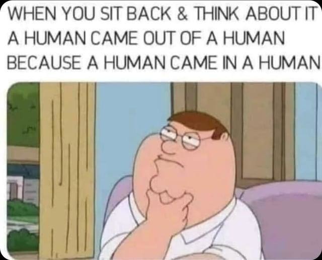 A human came from a human because a human came in a human - meme