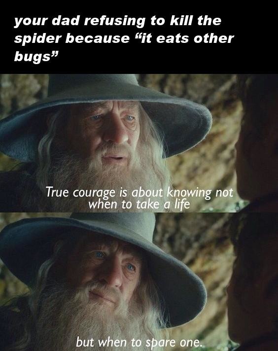 Dad saw a spider and chose pacifist mode - meme