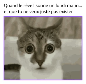 Je déteste les lundis matins... - meme