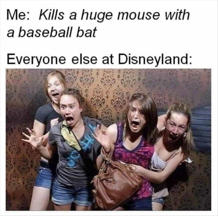 Yeah, but did you ever get kicked out of Disneyland for feeling Goofy? - meme