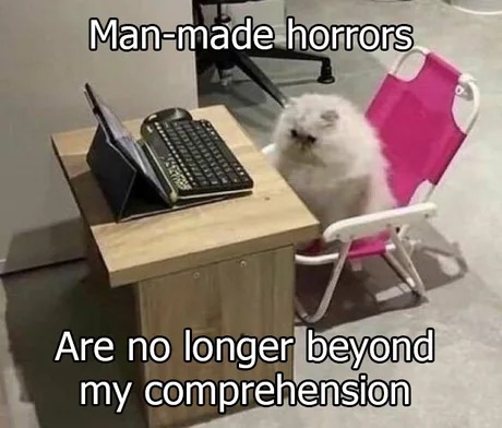 Just a funny cat at the computer - meme