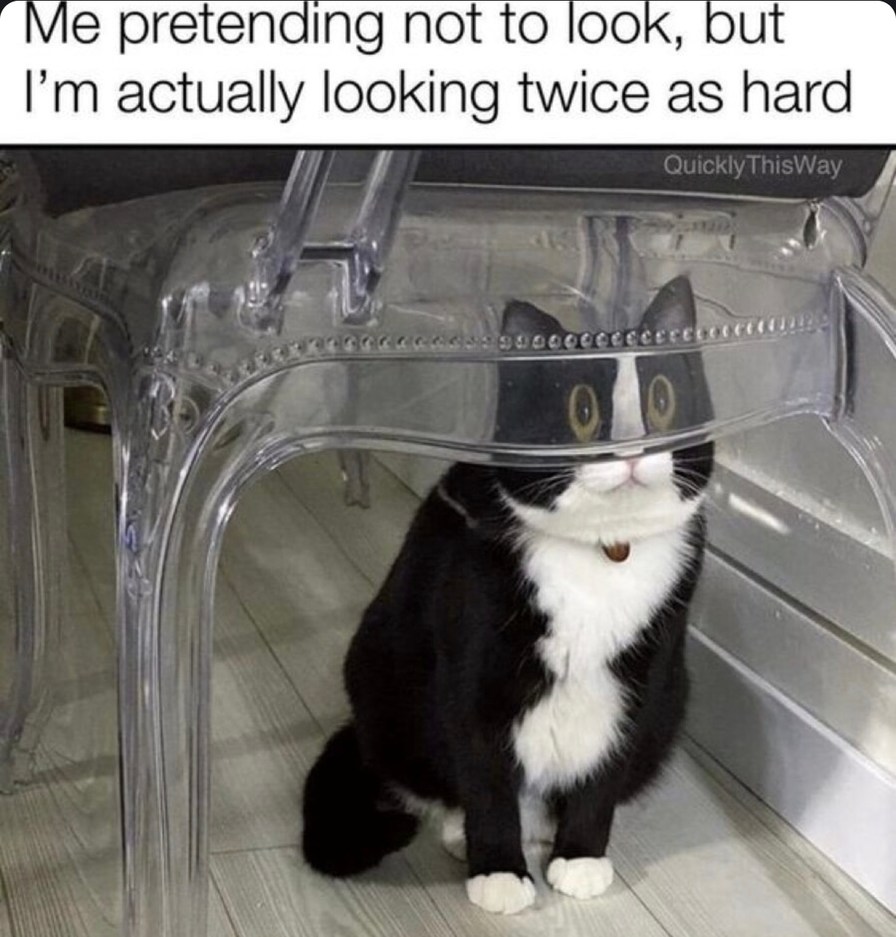 Me pretending not to look while actually staring twice as hard - meme