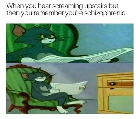 Heard screaming upstairs but forgot I’m the only one home - meme