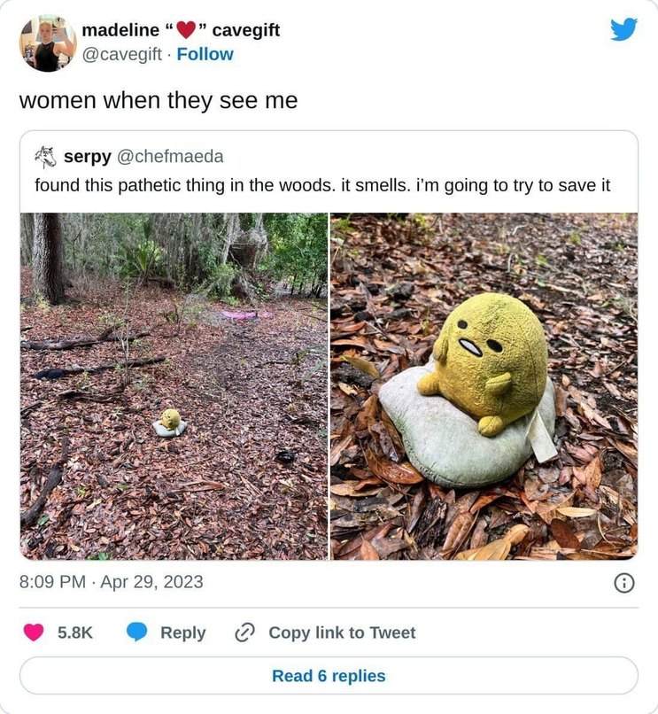 She found me in the woods and said she’d fix me - meme