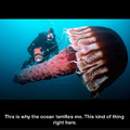 commented item thumbnail
