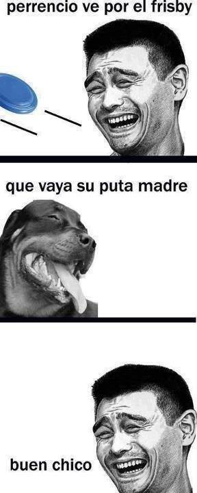 El perro de yao - meme