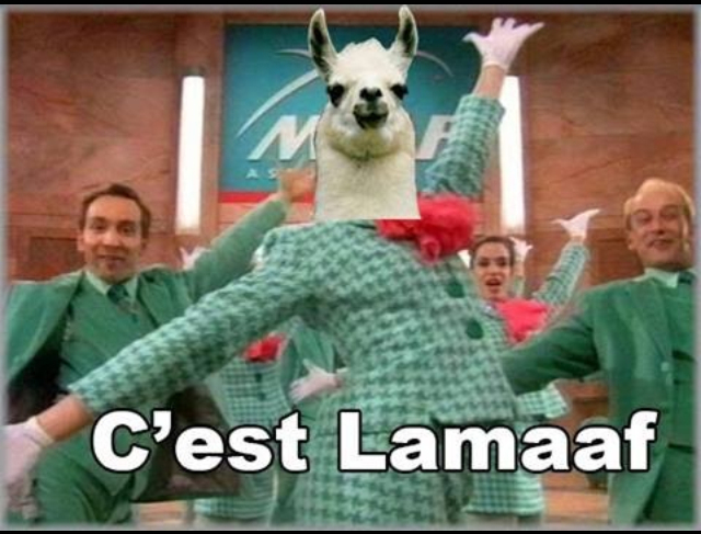 C'est lamaf que j'prefere ! - meme