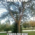 albero