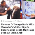 Bush did harambe