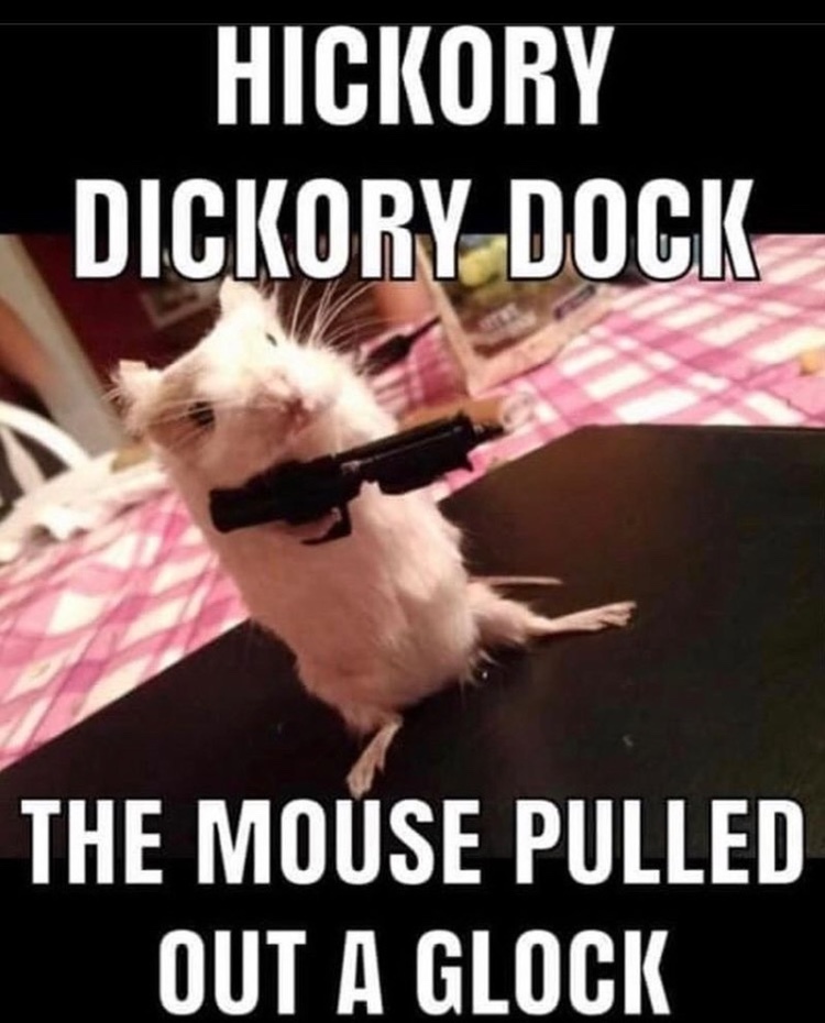 taxidermy mouse - meme