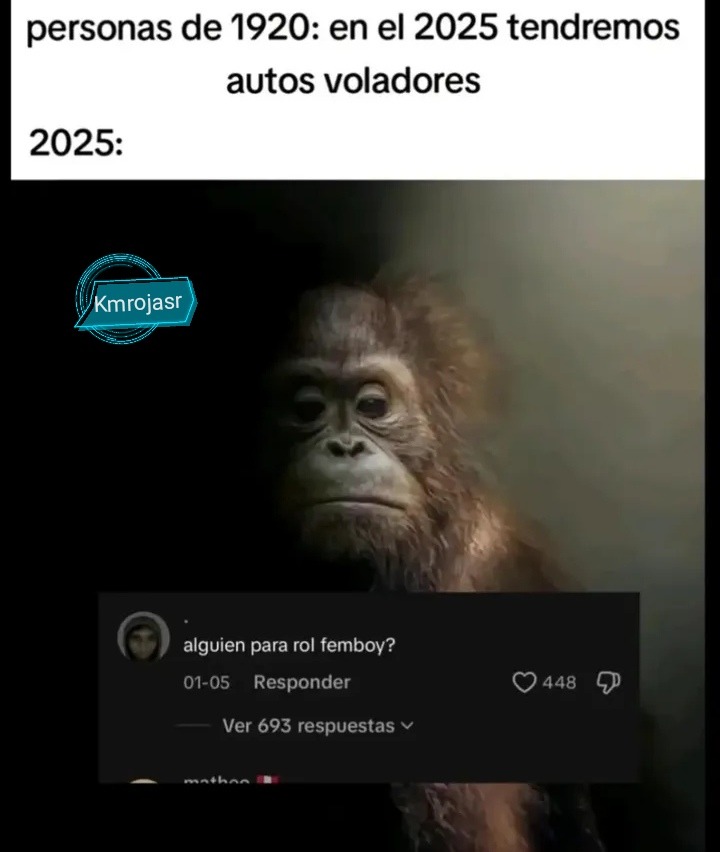 No - meme