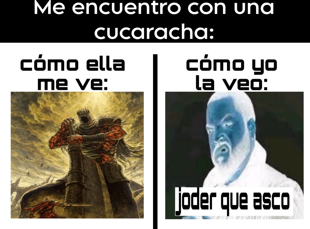 En serio a alguien le asusta ese bicho? - meme