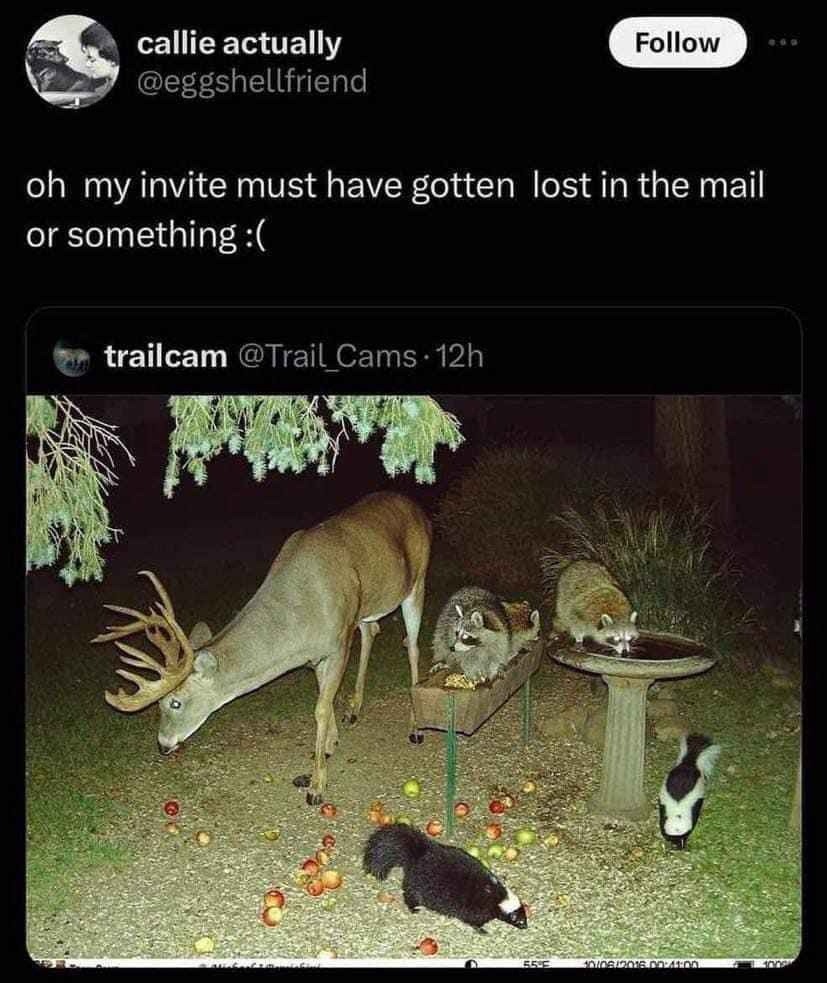 Invite got lost in the void again huh - meme