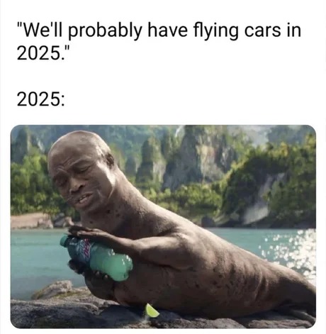 Seal seal - meme