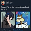 that Texas is stupid