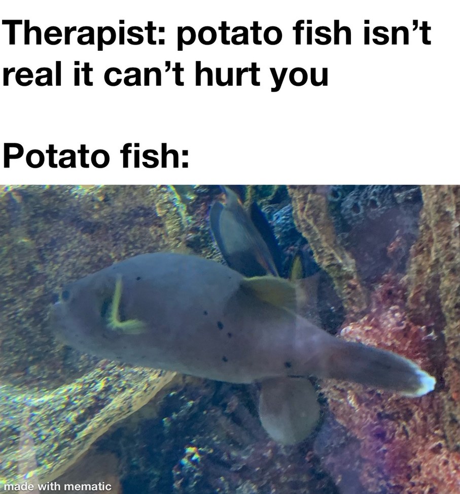 potato fish - meme