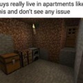 guys live in apartments like this