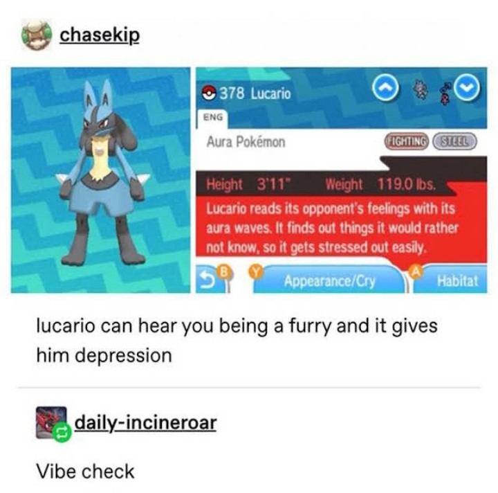 furries need to chill - meme
