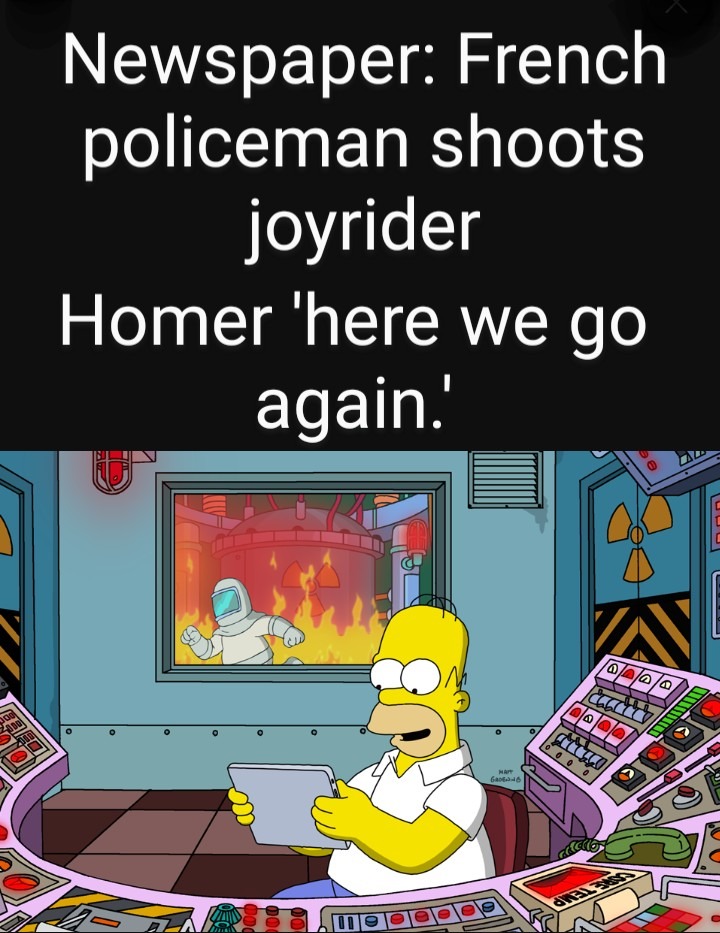 Damn police doing their job - meme